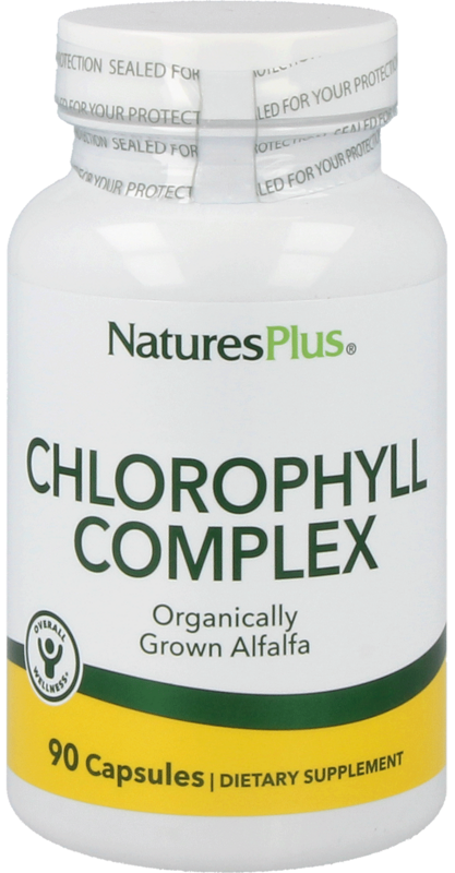 Natures Plus Natural Chlorophyll Complex 90 Kapseln