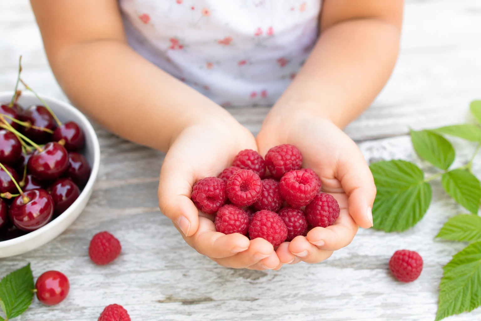 Kinderh&auml;nde mit frischen Himbeeren&nbsp;